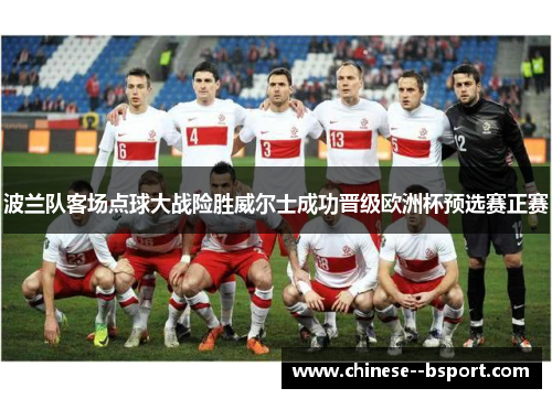 波兰队客场点球大战险胜威尔士成功晋级欧洲杯预选赛正赛 波兰队客场点球大战险胜威尔士成功晋级欧洲杯预选赛正赛