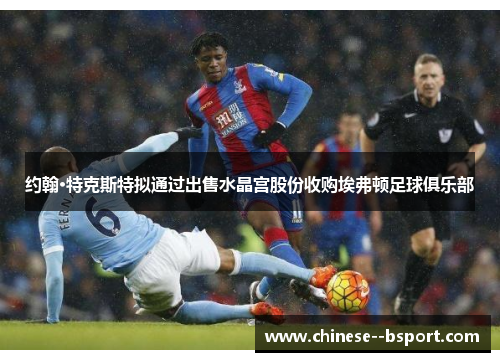 约翰·特克斯特拟通过出售水晶宫股份收购埃弗顿足球俱乐部